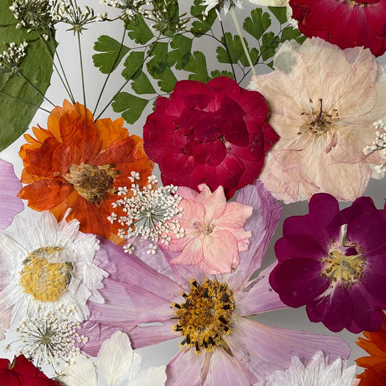 A path through a blossoming valley