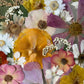 Passion hidden in flowers