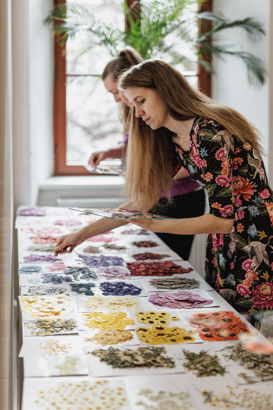 Flower painting workshop - PRAGUE 31.10.2026